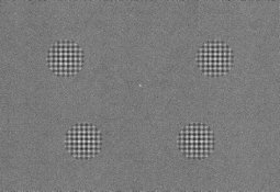 Stimulation images used in DiRusso's experiment