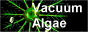 Vacuum algae